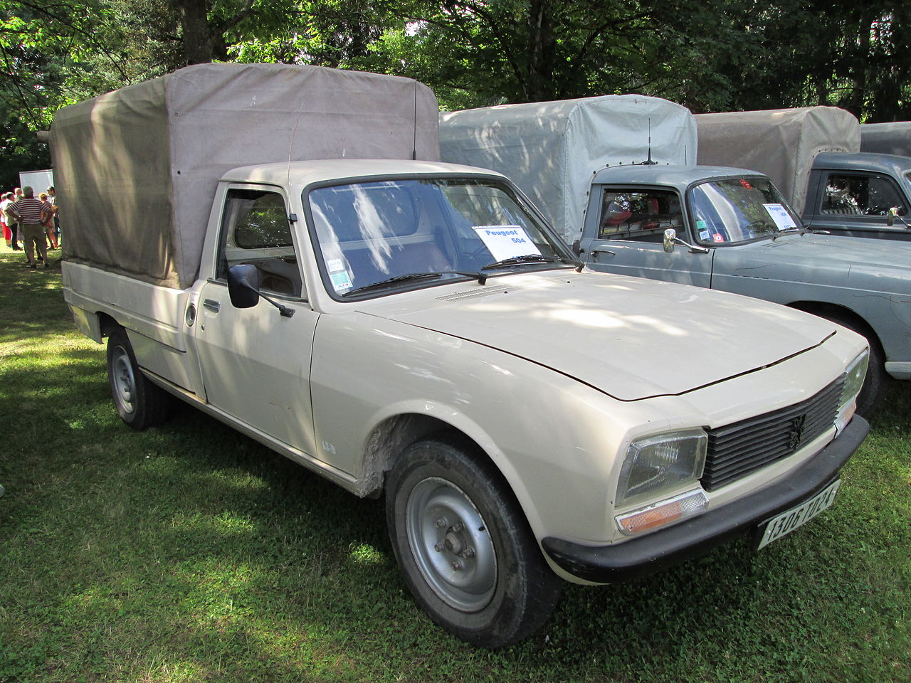 504 Pickup